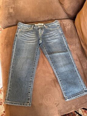 Uniqlo Women's Straight Leg Blue Denim Jeans